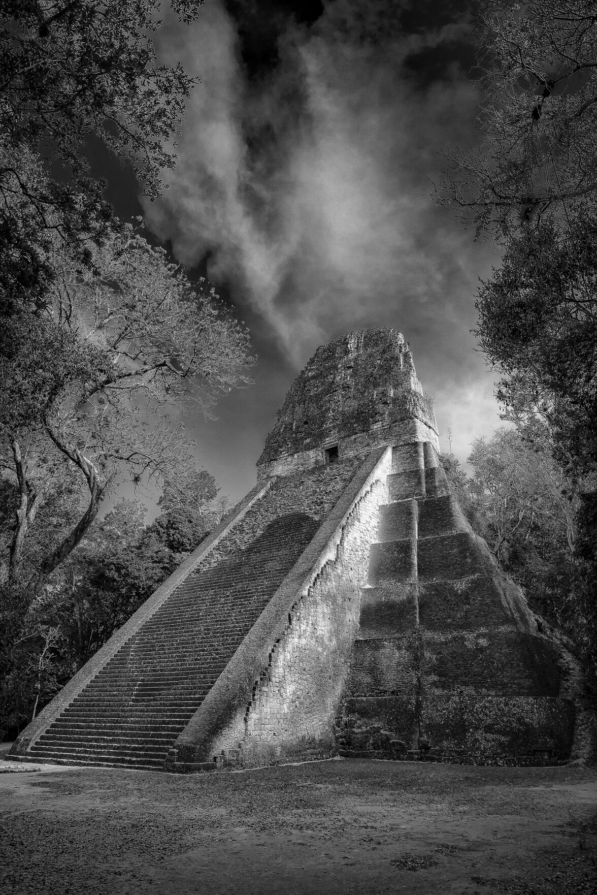 Frej tikal temple guatemala